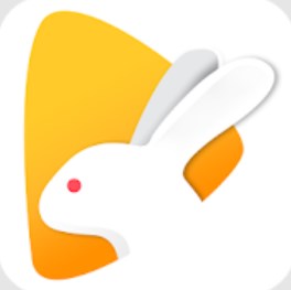 Bunny Live Mod